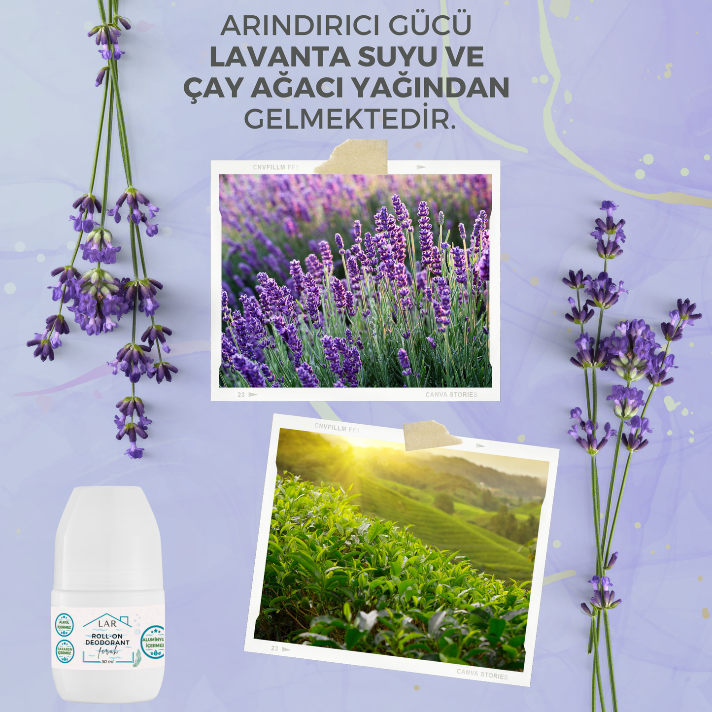 3’lü Avantajlı Set - Aluminyumsuz, Alkolsüz, Parabensiz Unisex Vegan Ferah Roll-on Deodorant